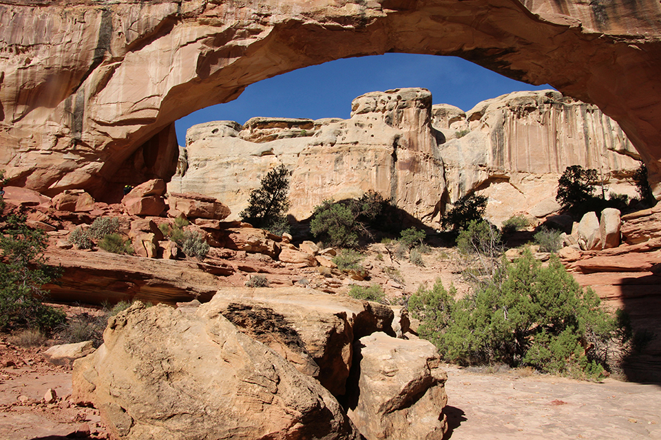 Hickman Bridge Trail photo