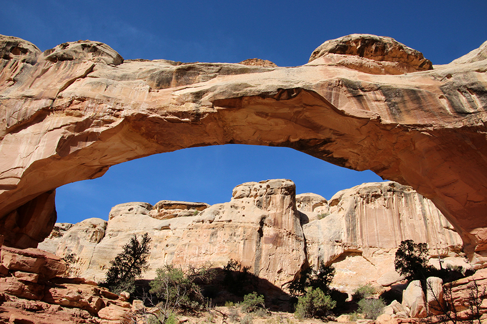 Hickman Bridge Trail