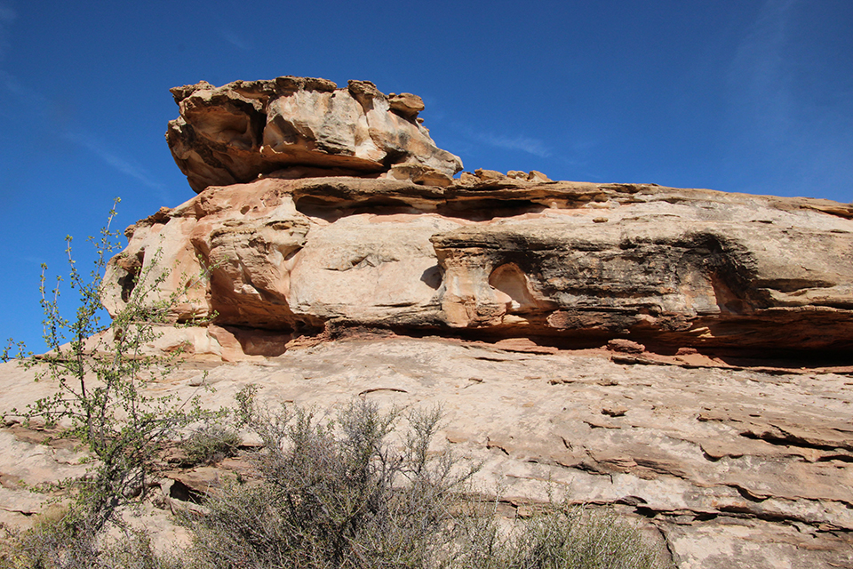 Hickman Bridge Trail