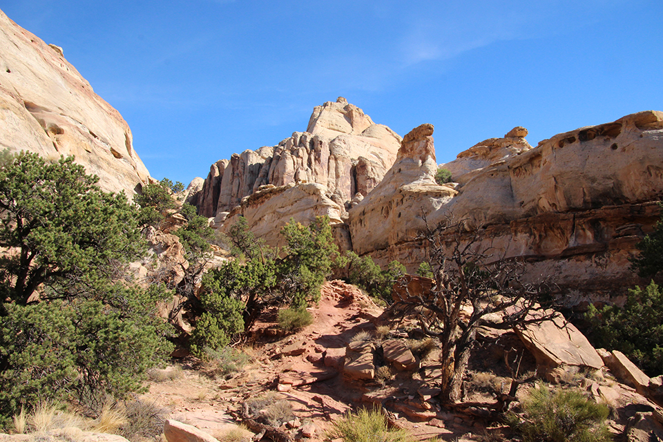 Hickman Bridge Trail photo