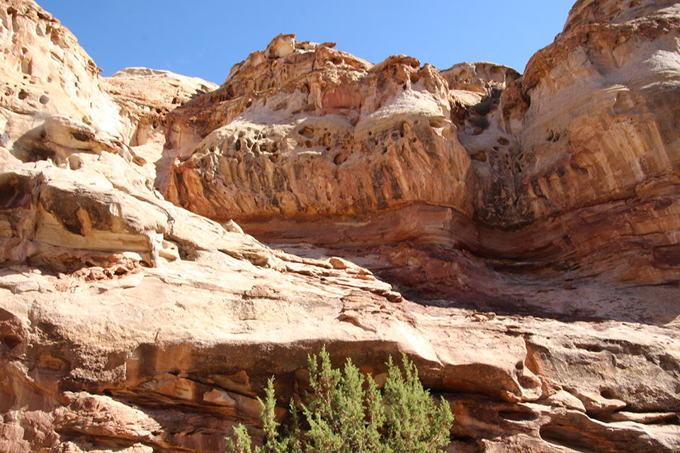 Hickman Bridge Trail