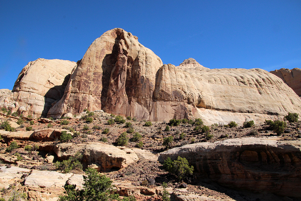 Hickman Bridge Trail photo