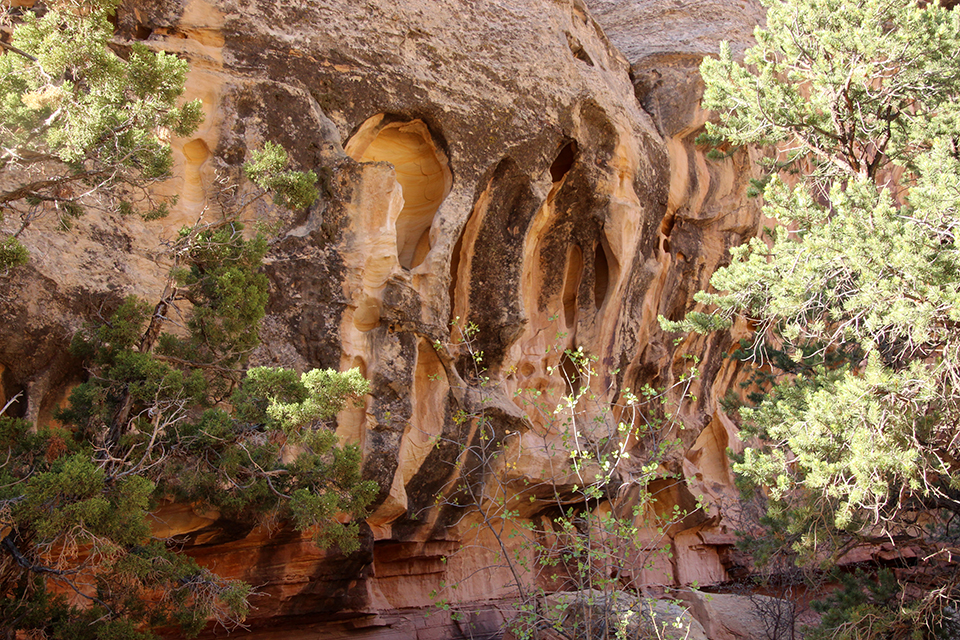 Hickman Bridge Trail