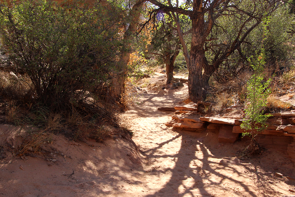 Hickman Bridge Trail