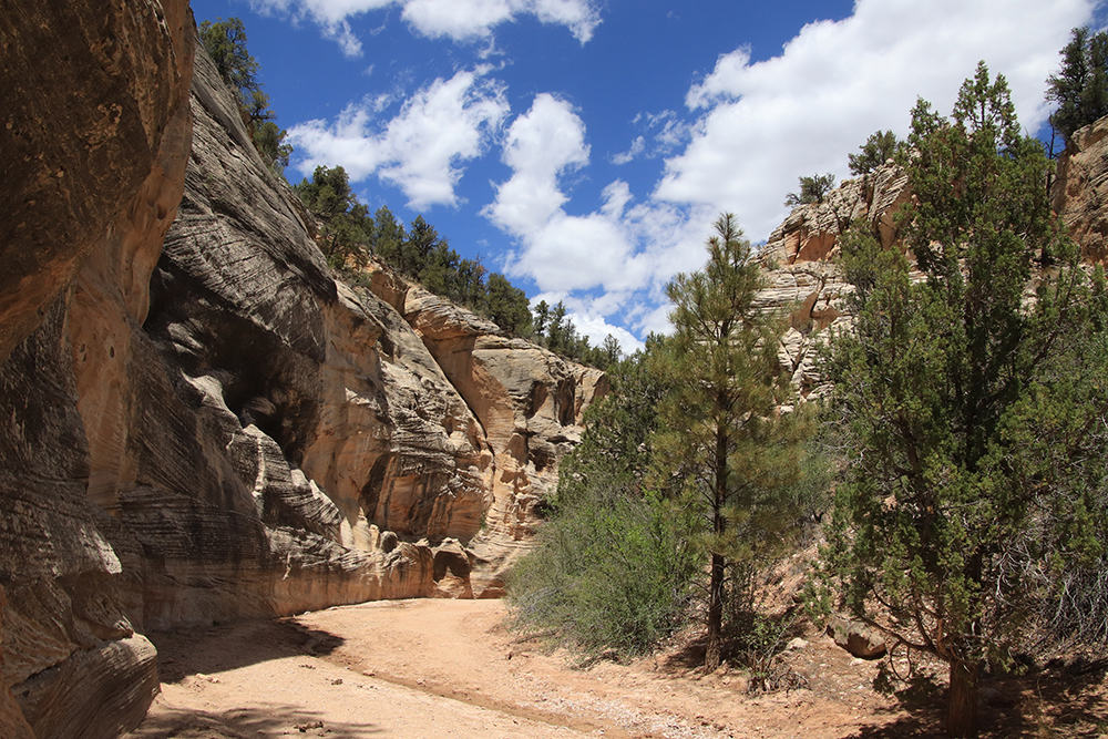 Willis Creek