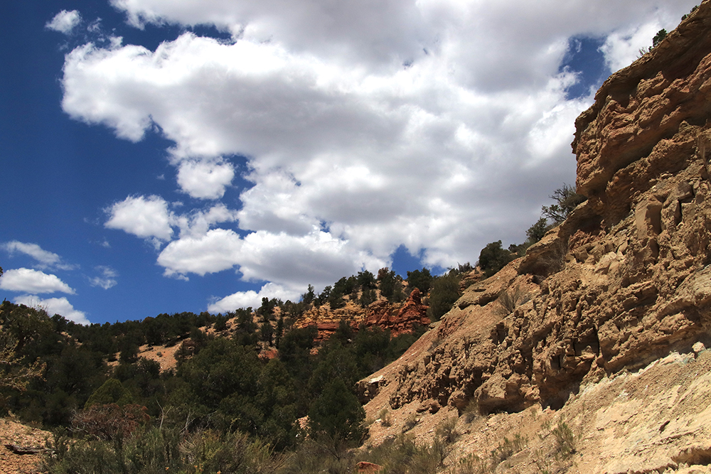 Willis Creek