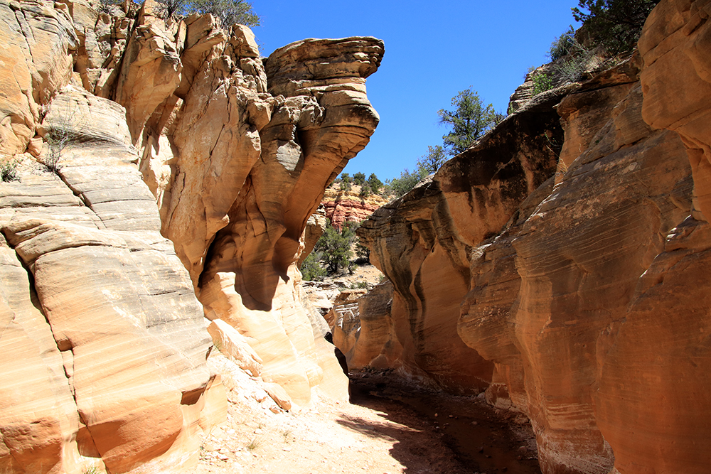 Willis Creek