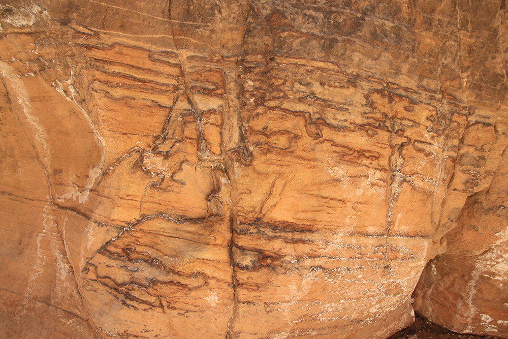 Willis Creek