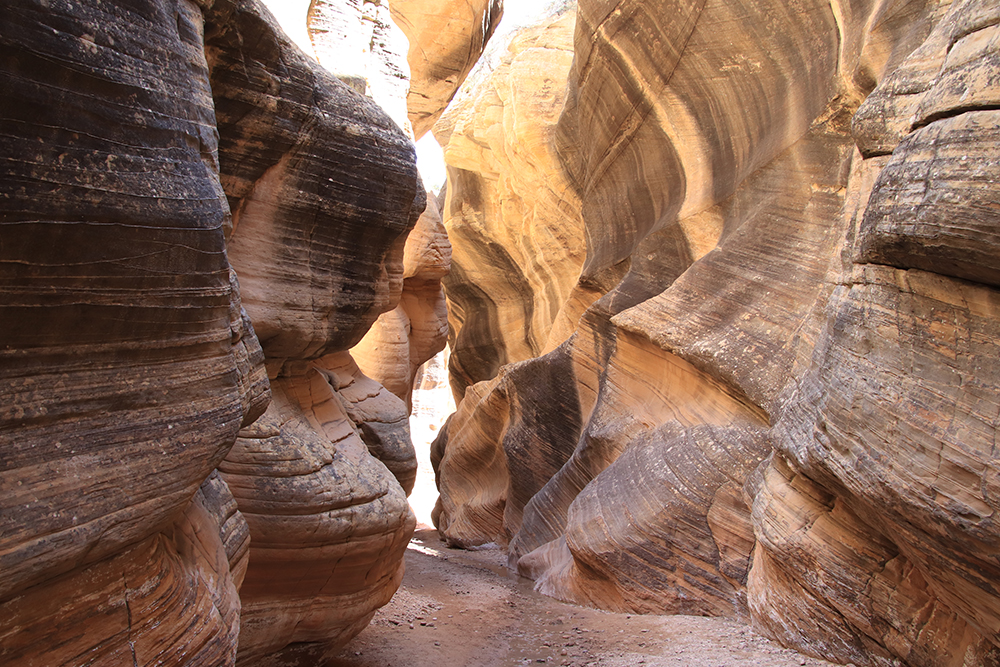 Willis Creek