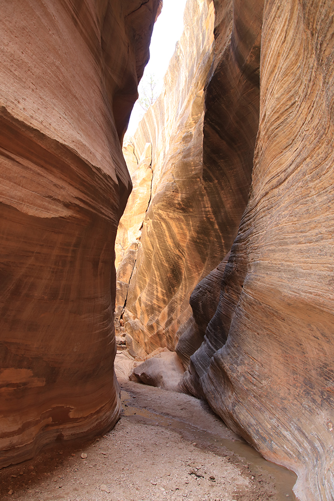 Willis Creek