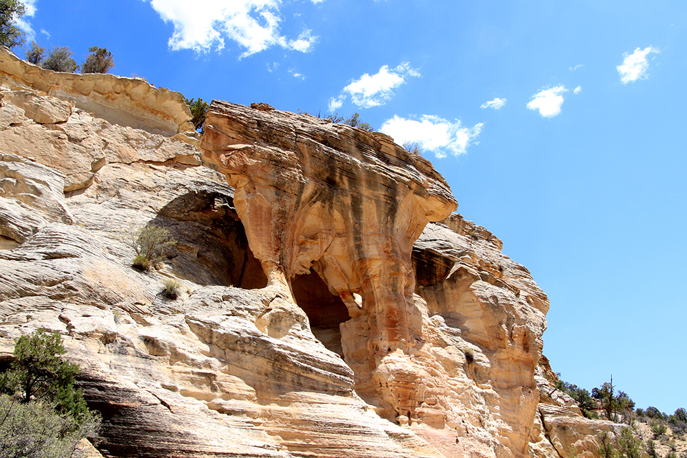 Willis Creek