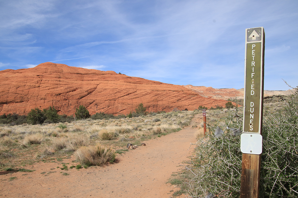 Petrified Dunes