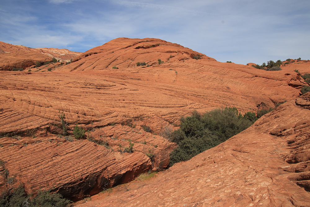 Petrified Dunes