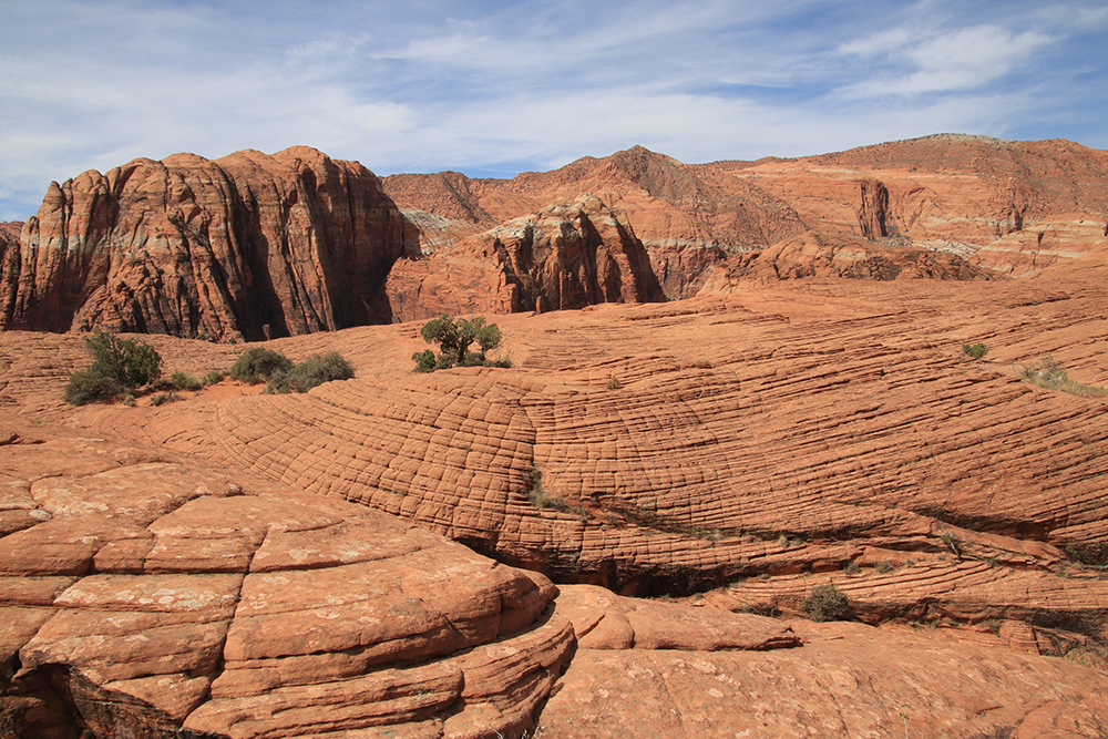 Petrified Dunes