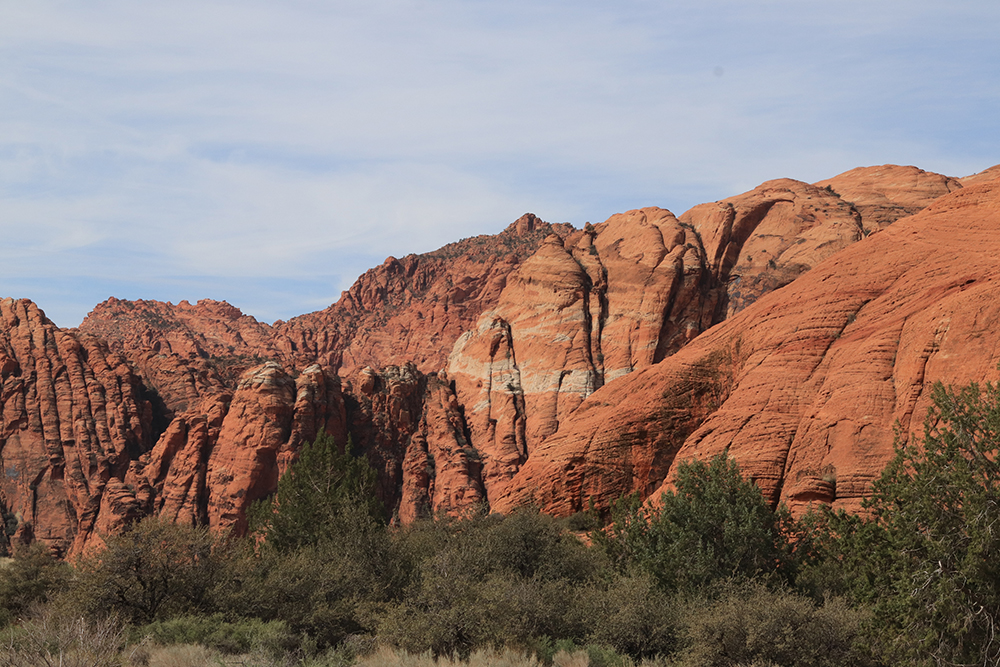 Petrified Dunes Trail