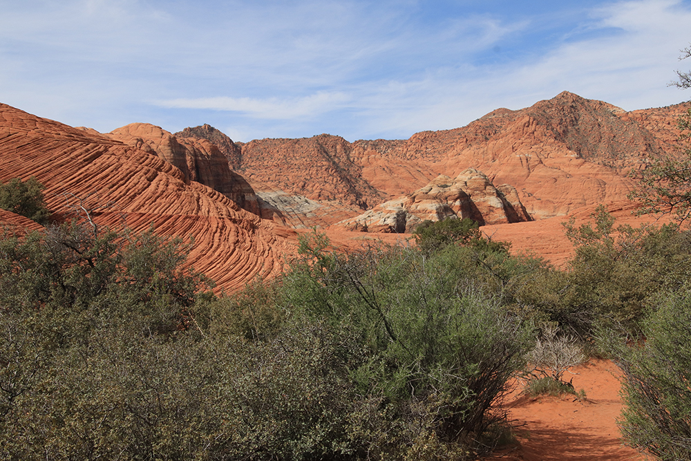 Petrified Dunes