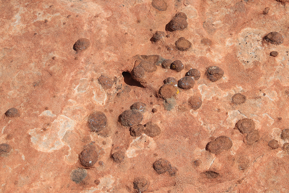 Petrified Dunes