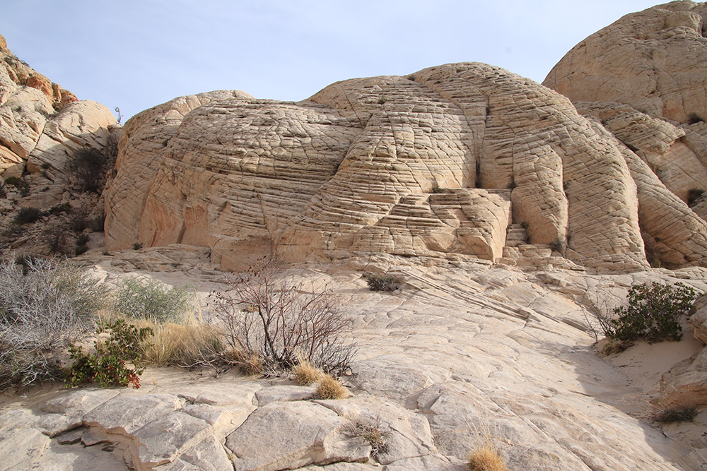 White Rocks