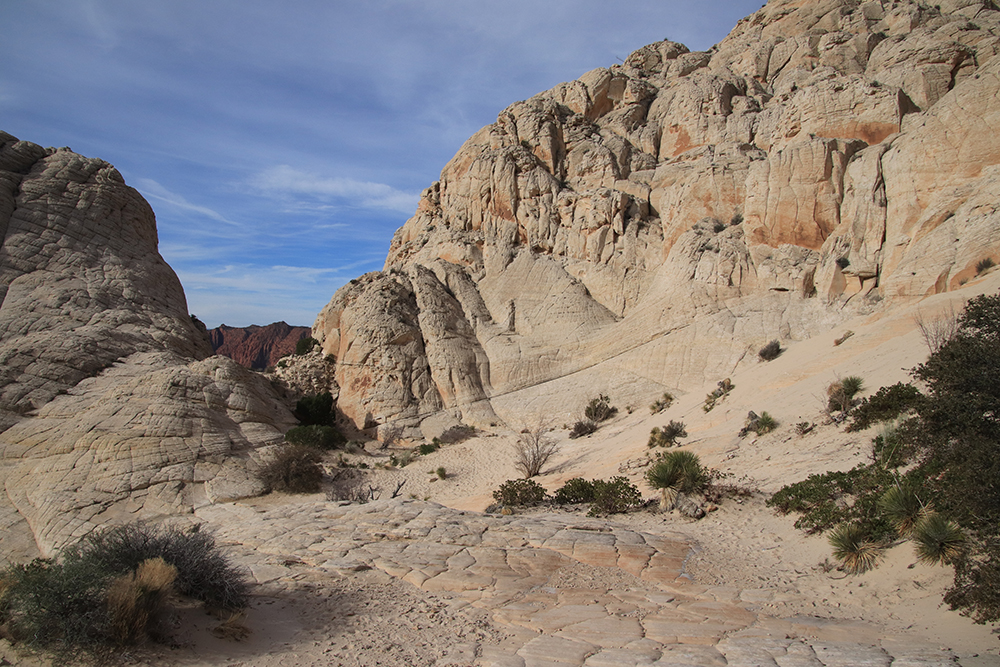 White Rocks