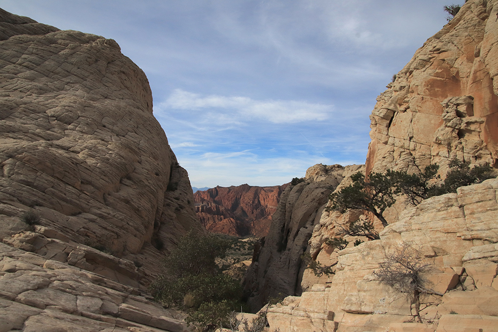 White Rocks