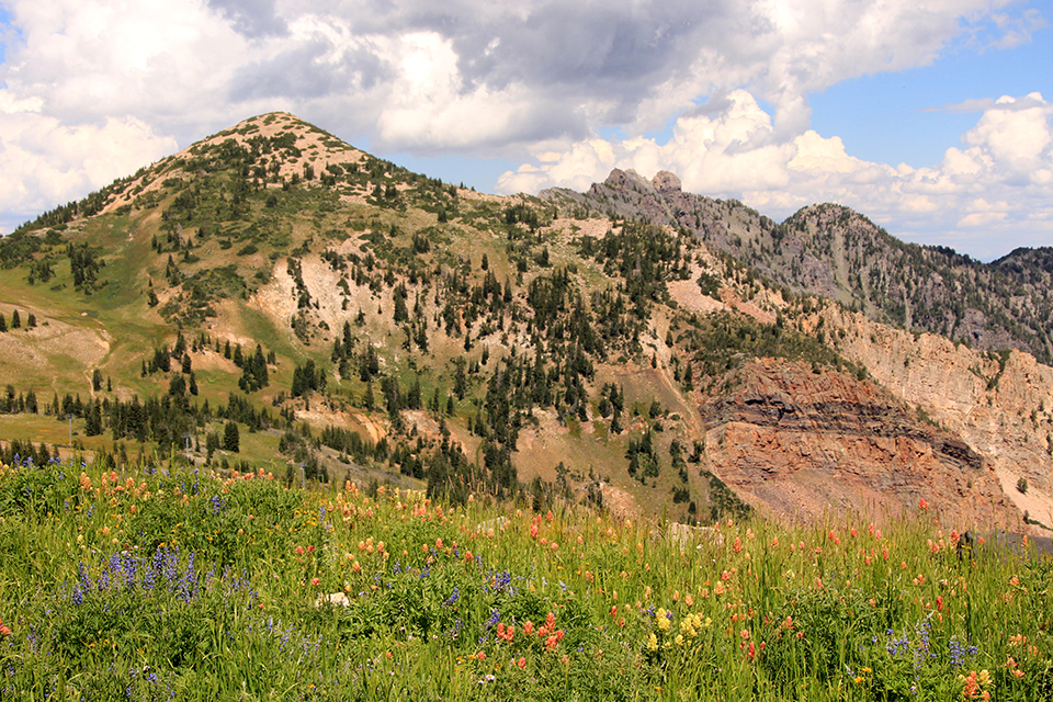 Mineral Basin