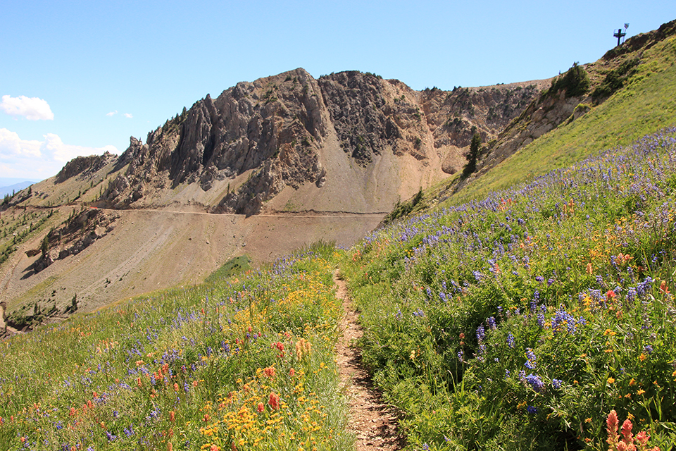 Mineral Basin