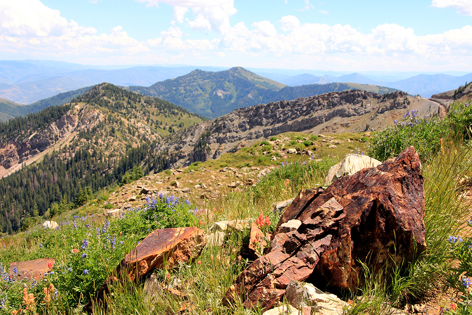 Mineral Basin