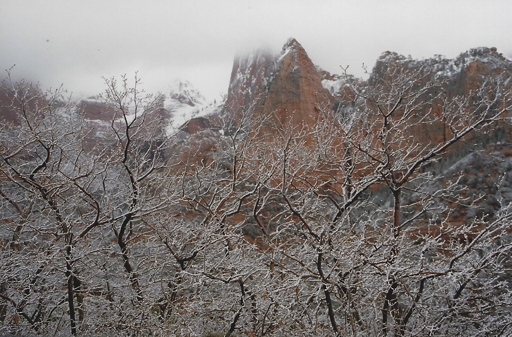 Zion National Park