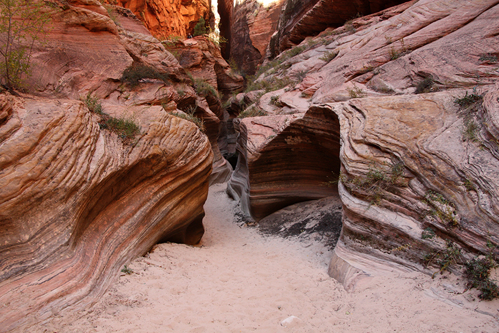 Observation Point Trail