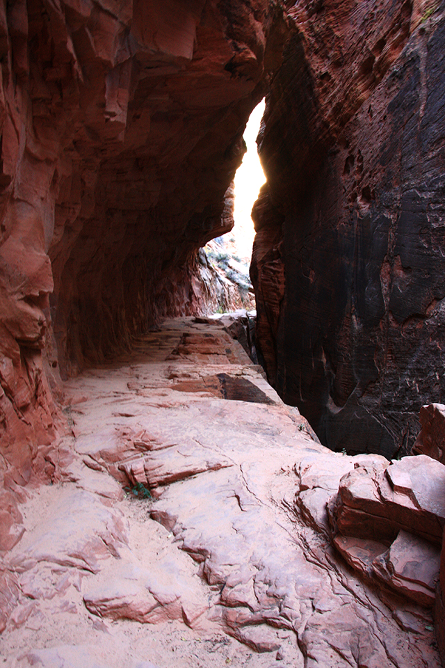 Observation Point Trail