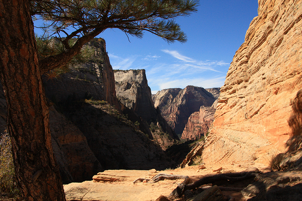 Observation Point Trail