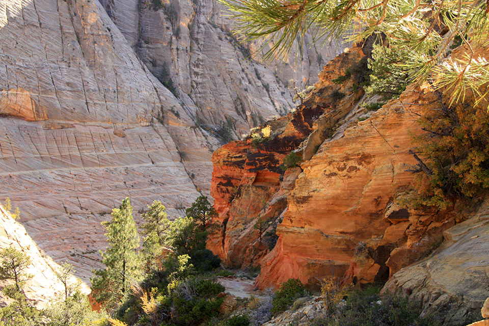 Observation Point