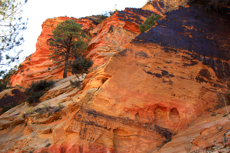 Observation Point Trail