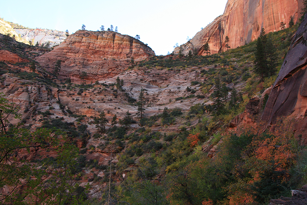 Observation Point Trail