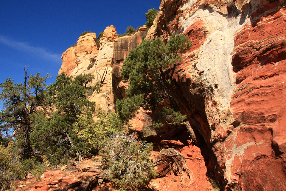 Observation Point Trail