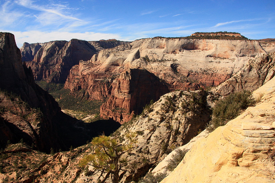 Observation Point Trail