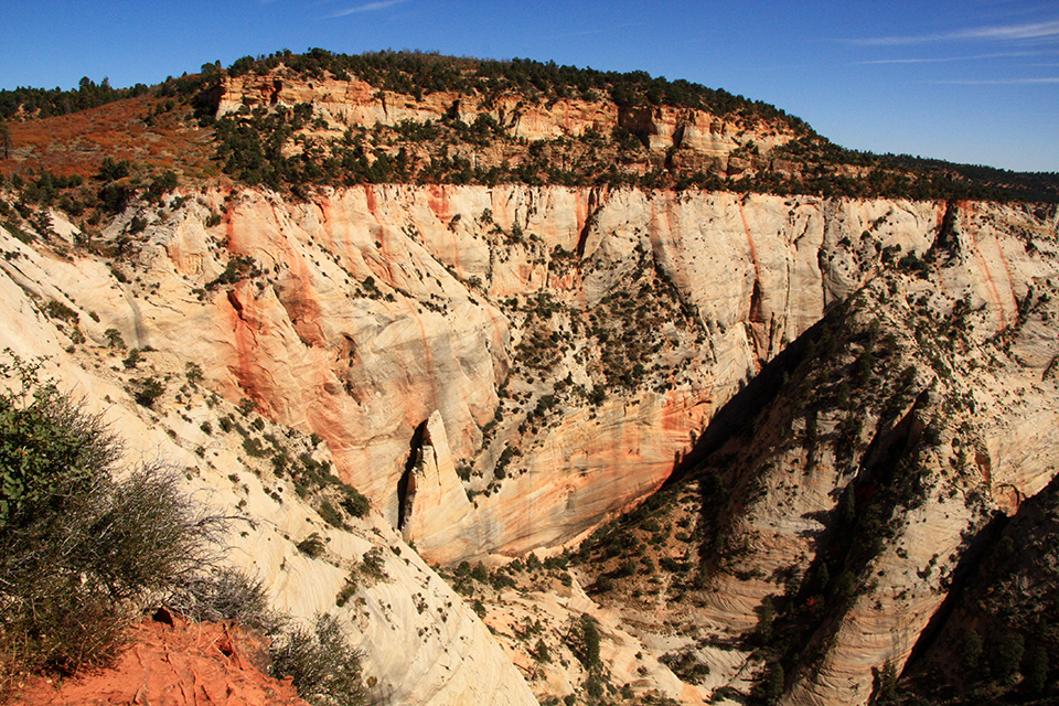 Observation Point Trail