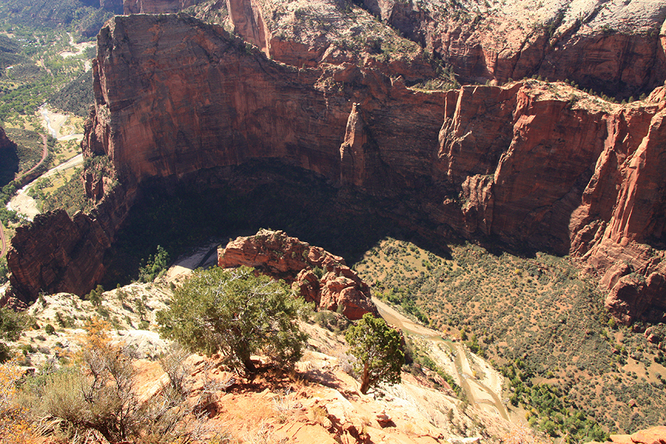 Observation Point