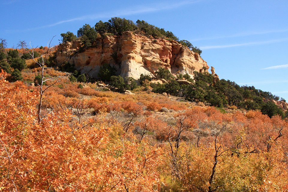 Observation Point Trail