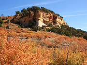 Observation Point