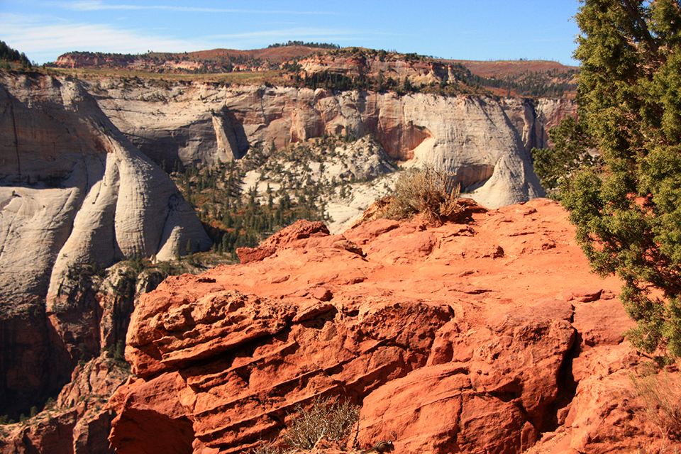 Observation Point Trail