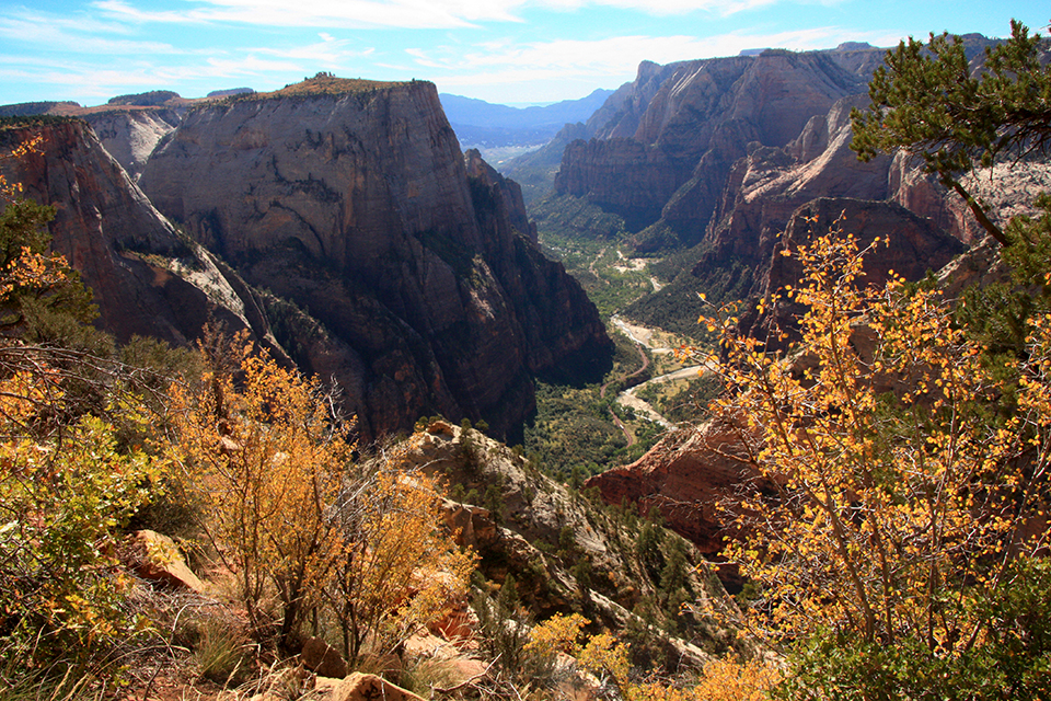 Observation Point