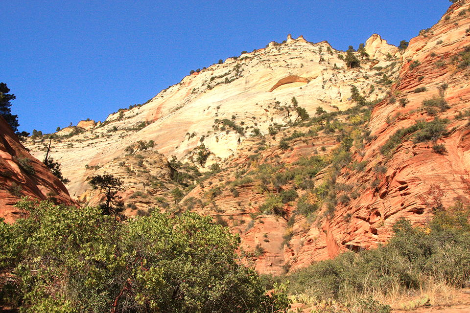 Observation Point Trail