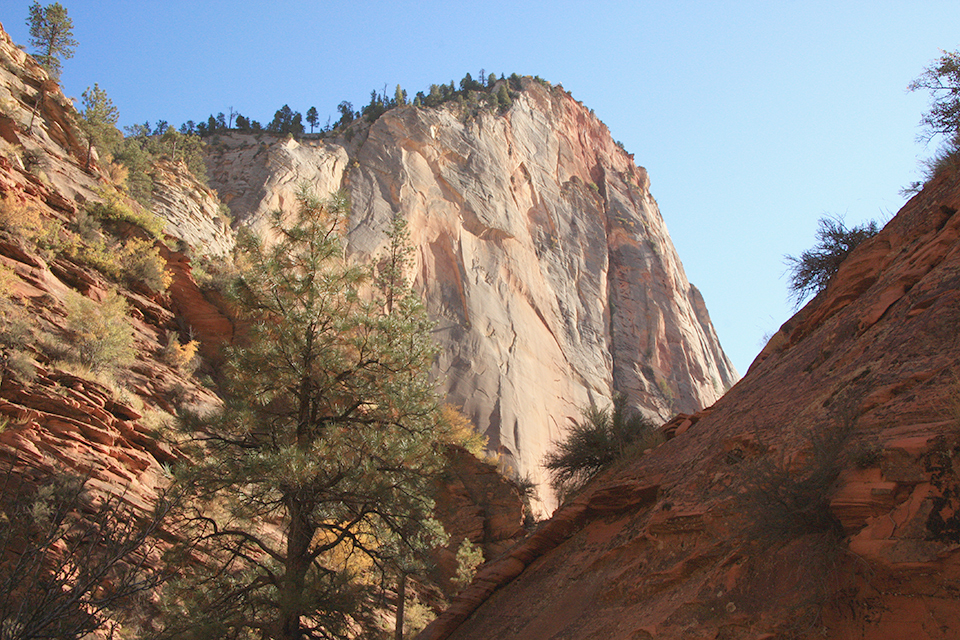 Observation Point Trail