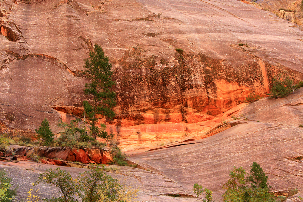 Observation Point Trail