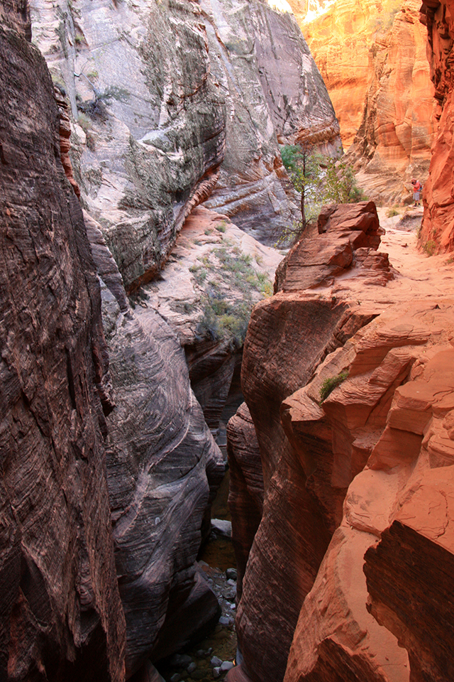 Observation Point Trail