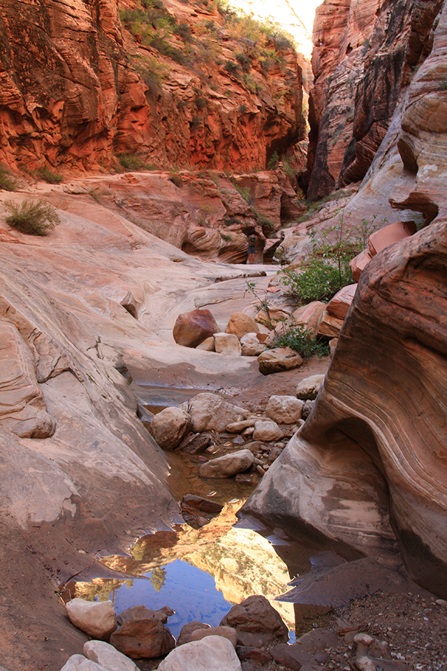 Observation Point Trail