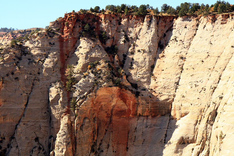 Observation Point Trail