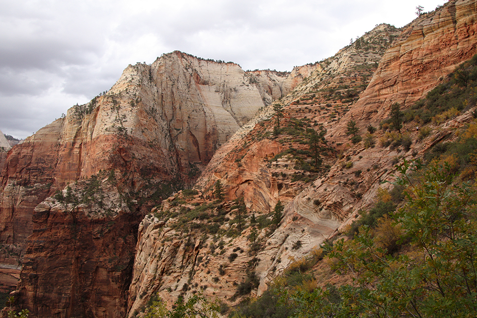 Observation Point Trail