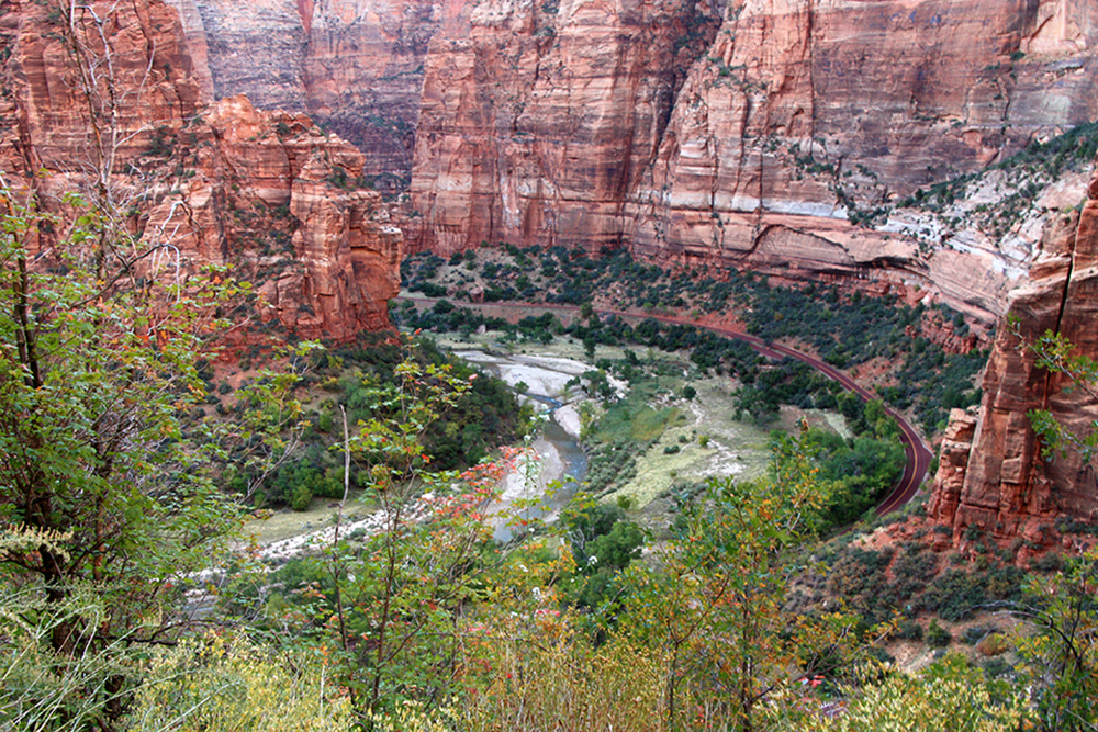 Observation Point Trail